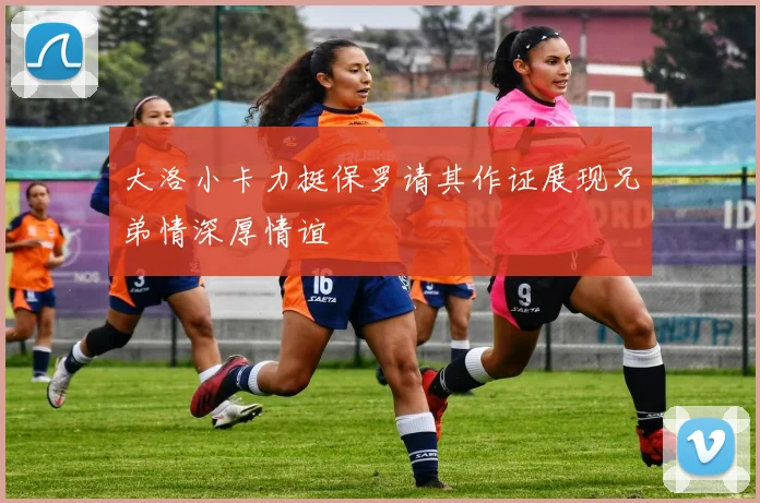 大洛小卡力挺保罗请其作证展现兄弟情深厚情谊