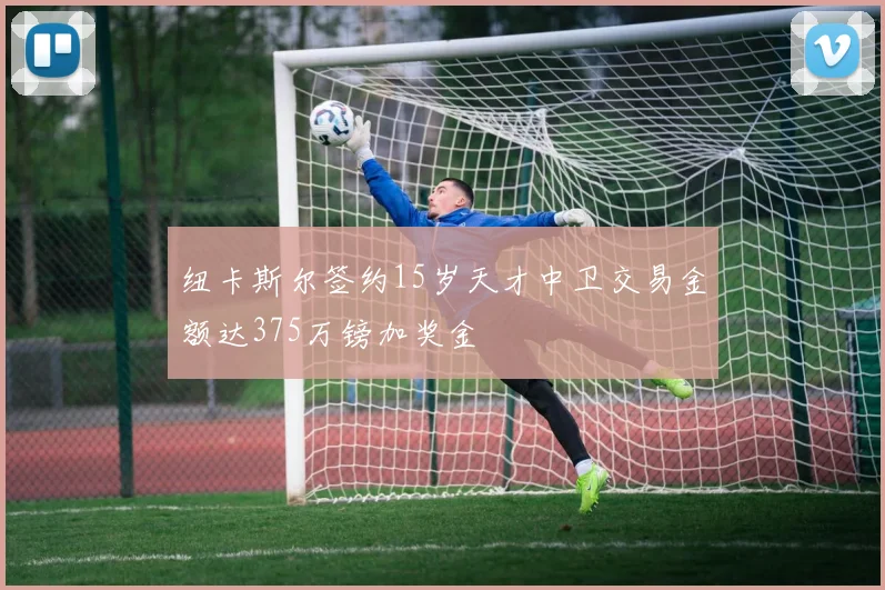 纽卡斯尔签约15岁天才中卫交易金额达375万镑加奖金