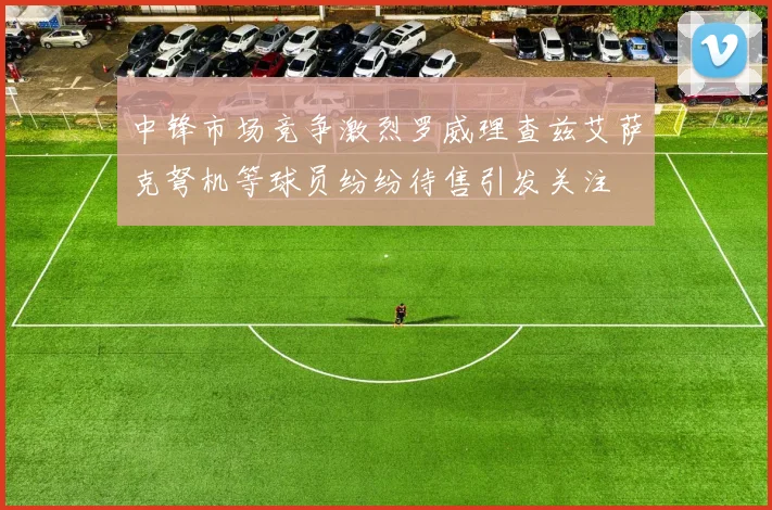 中锋市场竞争激烈罗威理查兹艾萨克弩机等球员纷纷待售引发关注