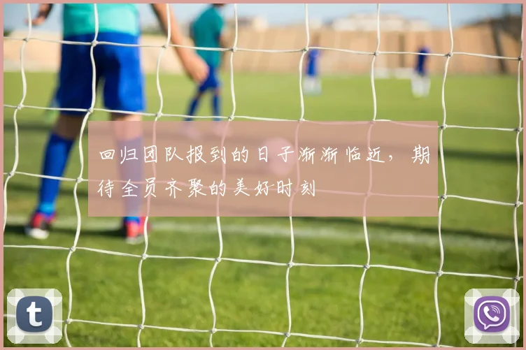 回归团队报到的日子渐渐临近，期待全员齐聚的美好时刻
