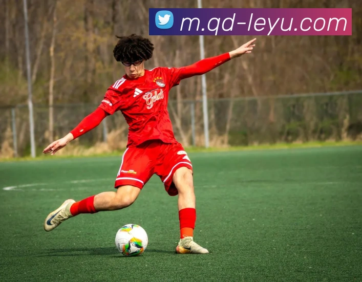 乐鱼体育发展历程