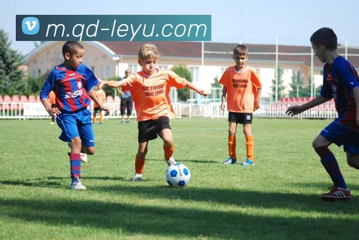 大洛小卡力挺保罗请其作证展现兄弟情深厚情谊